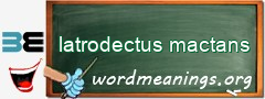 WordMeaning blackboard for latrodectus mactans